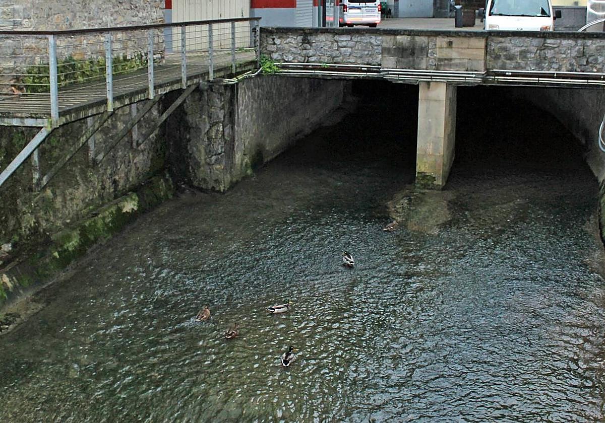 Permitirá mejorar el estado ecológico de un río hasta ahora castigado.