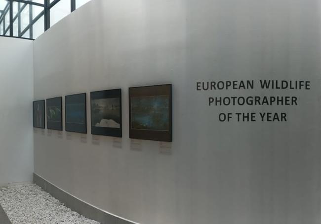 La exposición se podrá viistar hasta el día 10 de marzo en la torre Madariaga de Busturia.