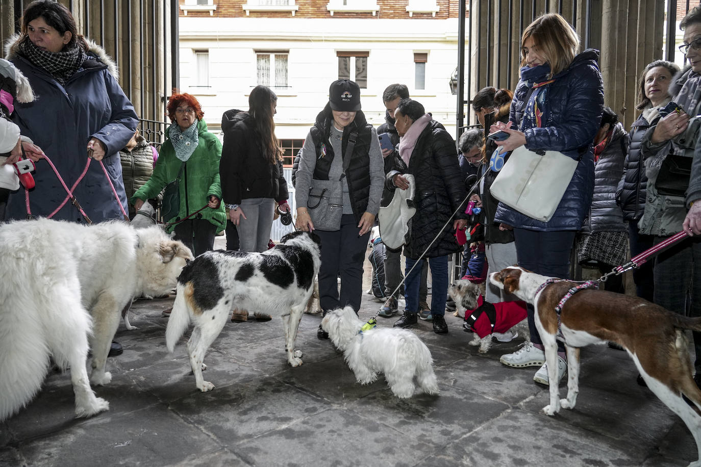 El día de San Antón en Vitoria