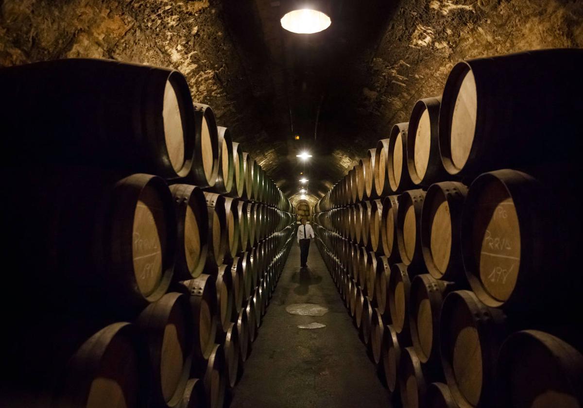 Interior de una bodega de Rioja Alavesa.