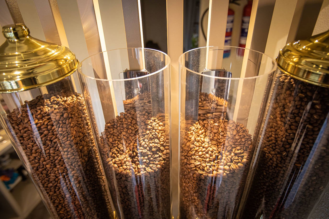 El sueño cumplido de Sara: deja Madrid, cambia de vida y abre este templo del café en Bilbao