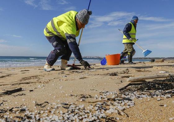 Limpieza de pellets en una playa de Galicia.