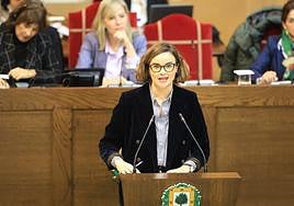 Elixabete Etxanobe este miércoles por la mañana en la sesión de control de Juntas Generales