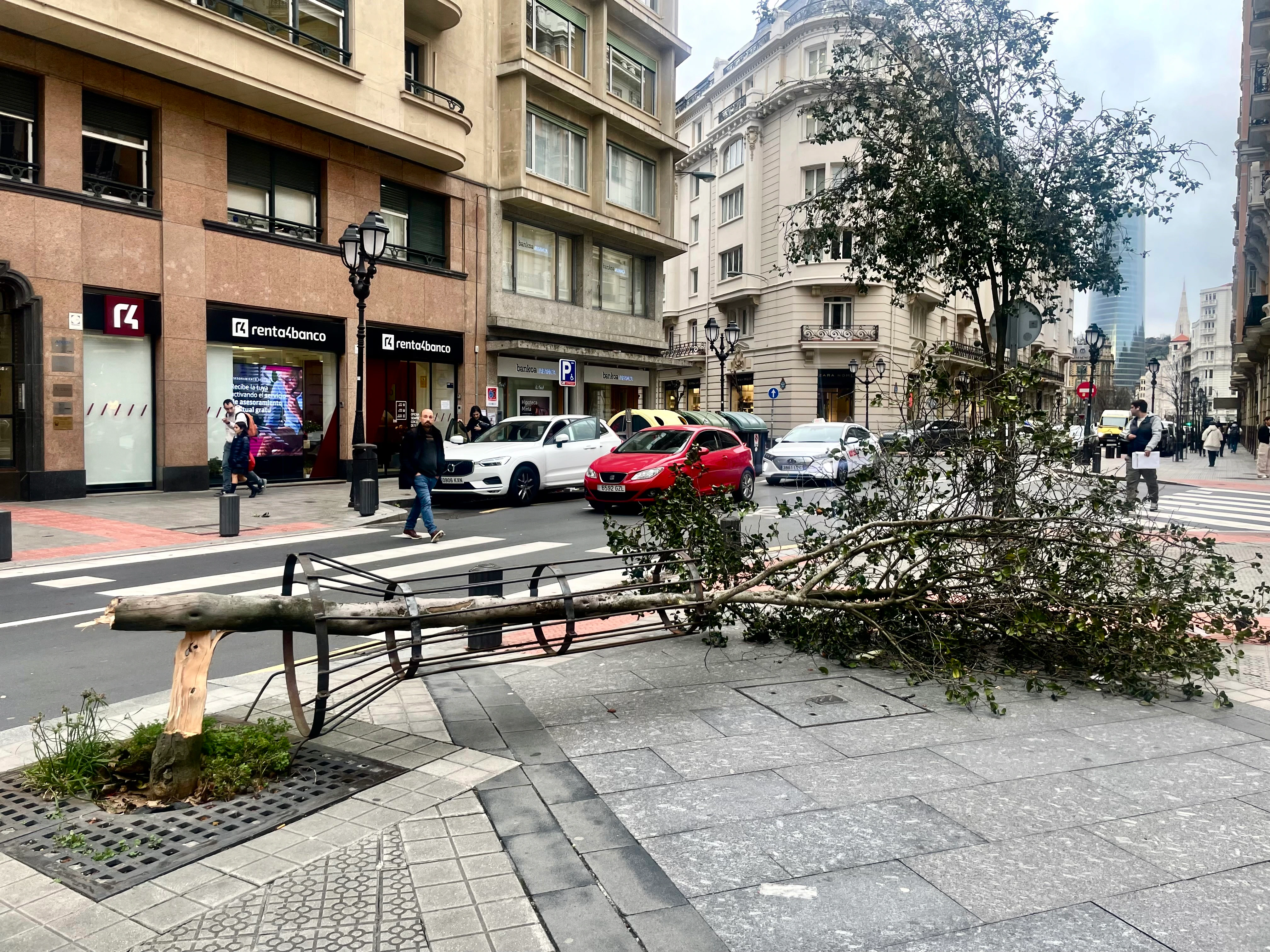 El Fuerte Viento Provoca Numerosas Incidencias En Bizkaia El Correo