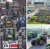 El agro alavés se declara en guerra