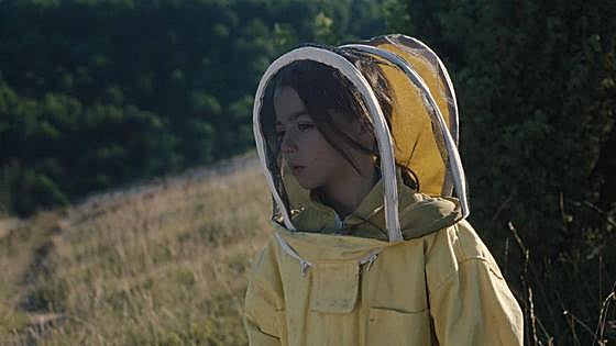La gran noche de un año de cine