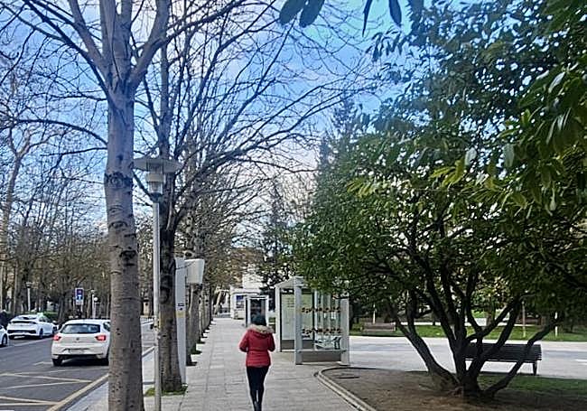 Las marquesinas de Cadena y Eleta, vacías.