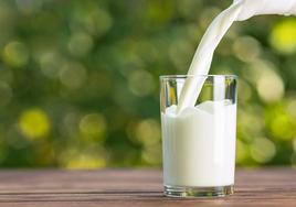 ¿Es mejor la leche entera o la desnatada? Una nutricionista resuelve las dudas