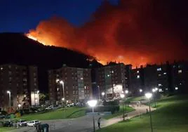 Espectacular imagen del incendio de 2019 que arrasó más de 70.000 metros cuadrados de bosque y que desató todas las alarmas en Muskiz.