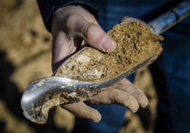 Alberto toma una muestra de tierra de su finca.