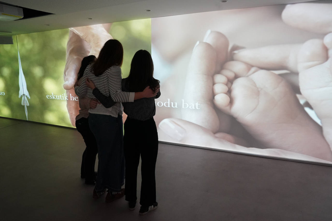 Euskararen Interpretazio Zentroa, irudietan