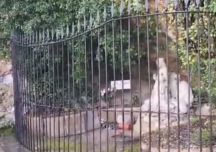 El agua se adentra en la gruta de la Virgen de Angosto.