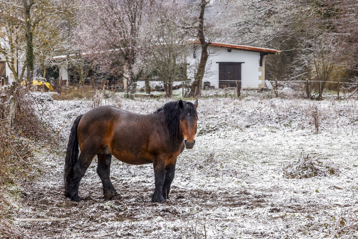 La nieve cubre de blanco Zuia y Murgia