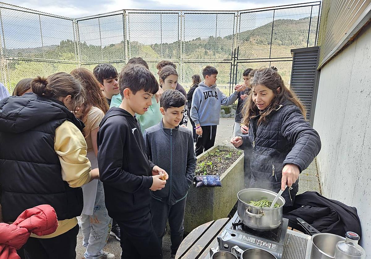 Los alumnos elaboraron pomadas de llanten para las rojeces y picores.