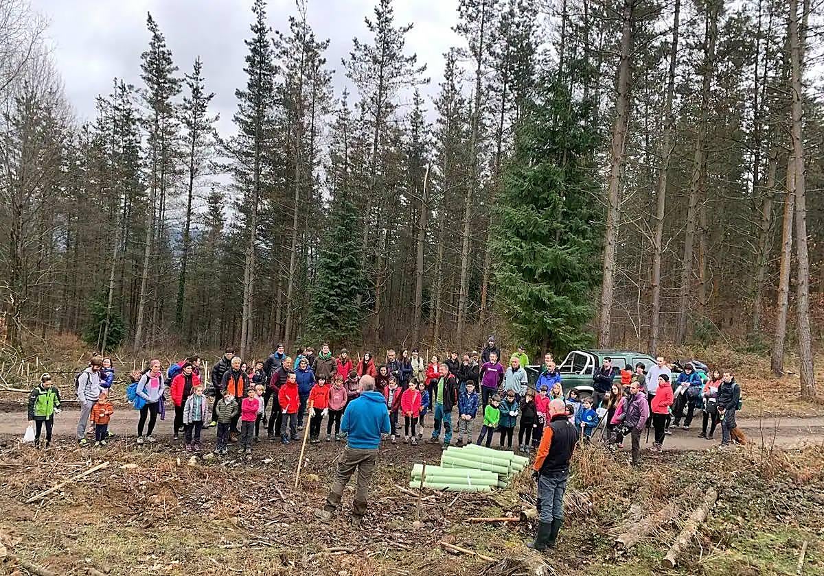 Los vecinos de Elorrio plantaron árboles en el bosque a finales del mes de enero.