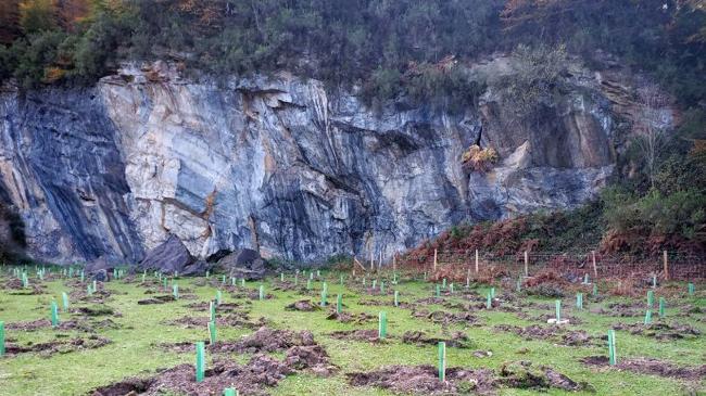 Imagen después - Canteras alavesas, de vertederos a praderas