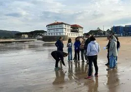Los voluntarios del proyecto '¡Atención! ¡No me aplastes!' toman muestras de la arena en la playa de Plentzia.