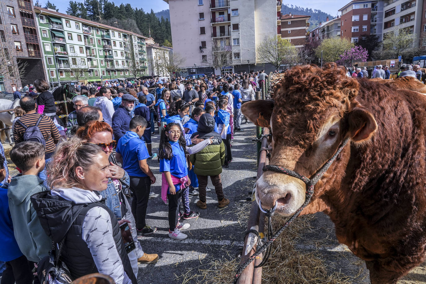 La Feria de Viernes de Dolores en Llodio, en imágenes