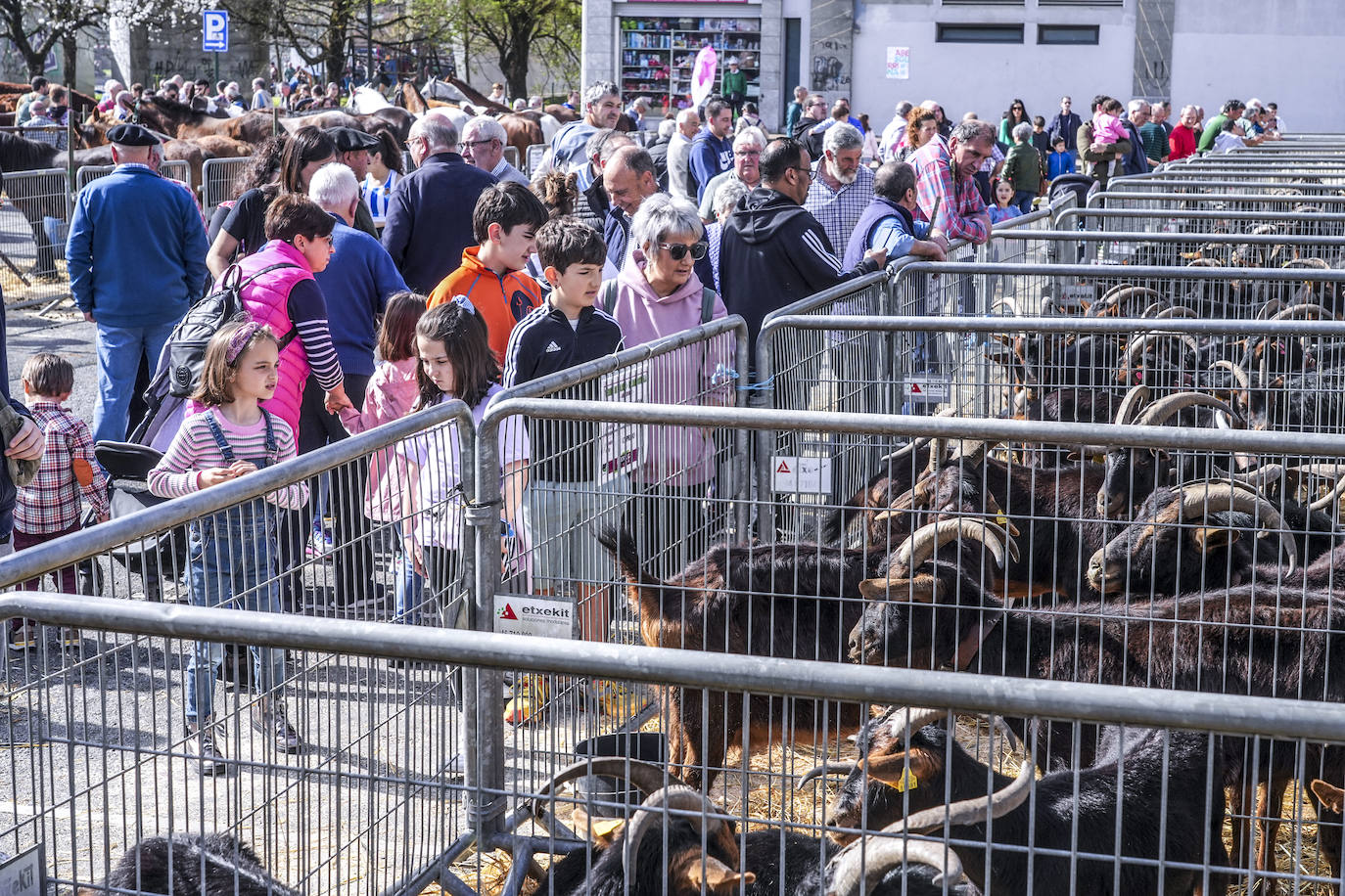 La Feria de Viernes de Dolores en Llodio, en imágenes