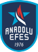 Imagen principal - Anadolu Efes