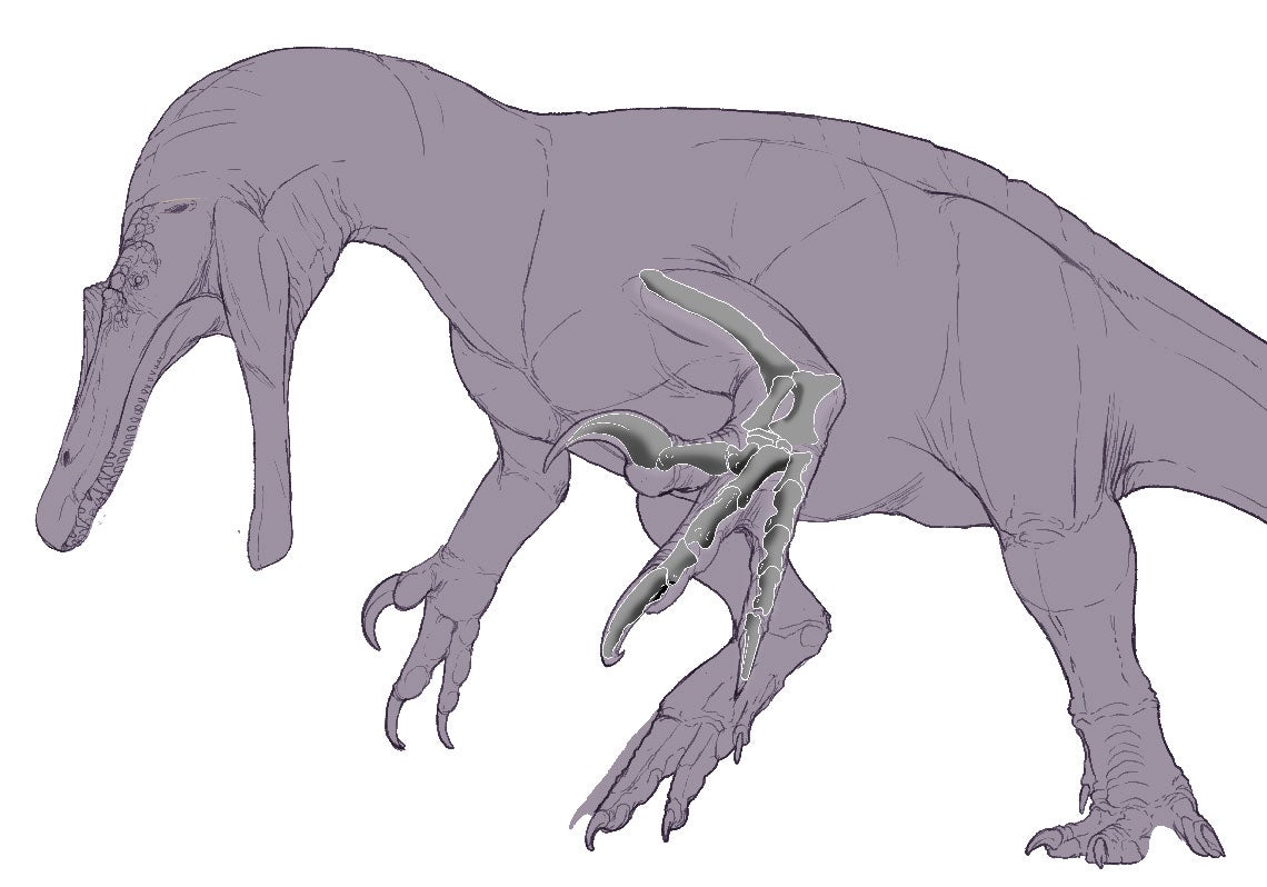 Scroll Story imagen 2