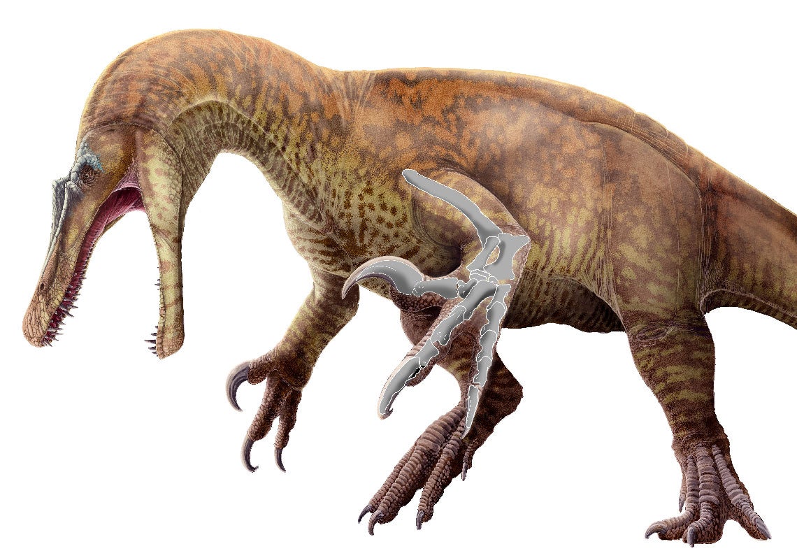 Scroll Story imagen 4