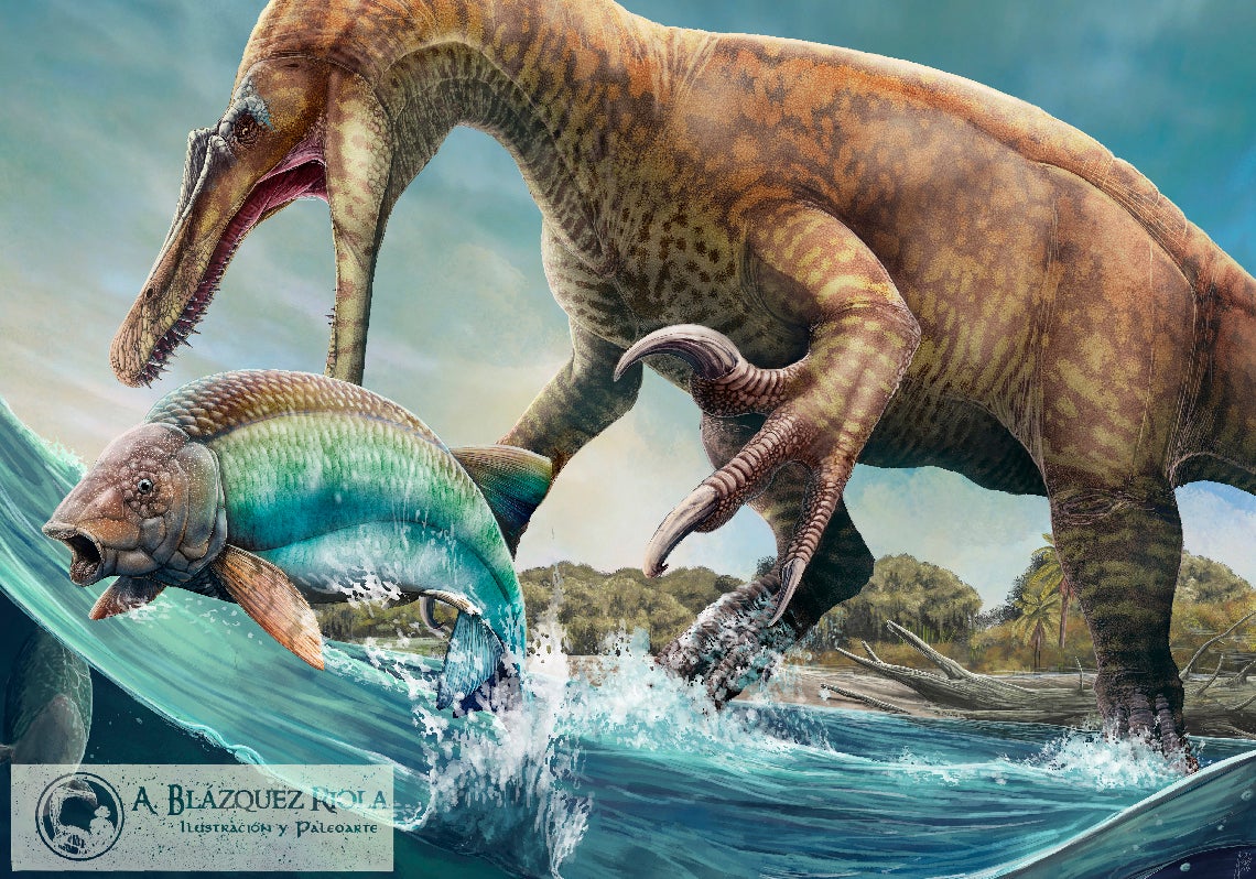 Scroll Story imagen 5