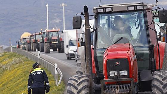 Álava prorroga las medidas fiscales para ayudar al agro que está en «especial dificultad»