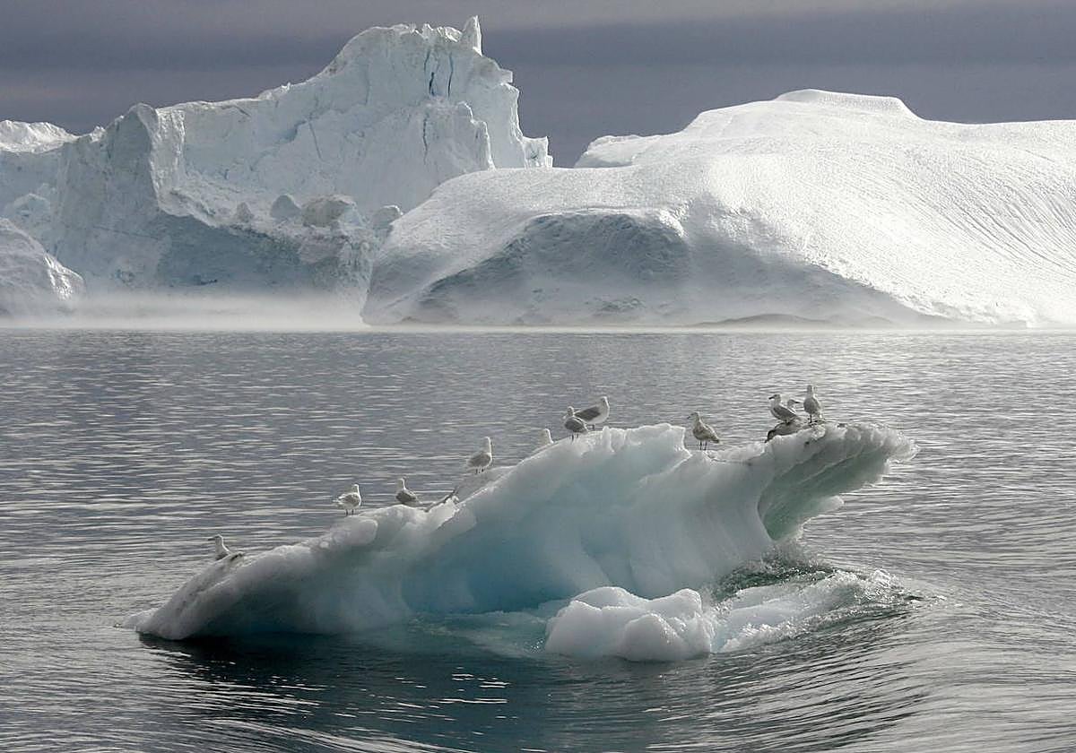 El deshielo de los polos está causando graves alteraciones.