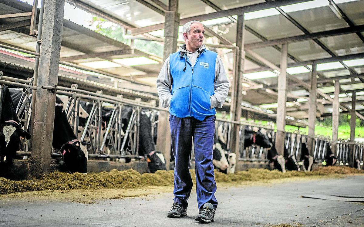 Altos costes del vacuno. Félix Aras, que tiene 400 vacas de leche, reconoce que hoy en día sería difícil empezar de cero en este sector.