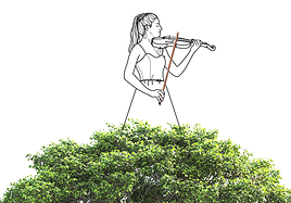 Músicos contra ecologistas, la 'mafia' de la madera de Pernambuco