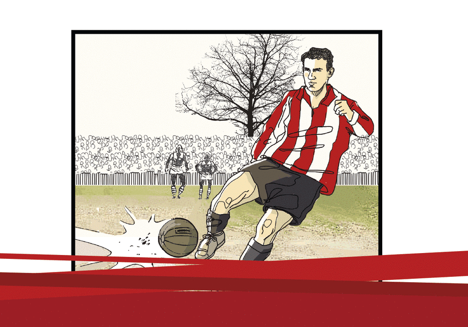 Animales que paralizan carreteras, vías o parques eólicos