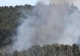 Los bomberos extinguen un incendio forestal en Lemoiz