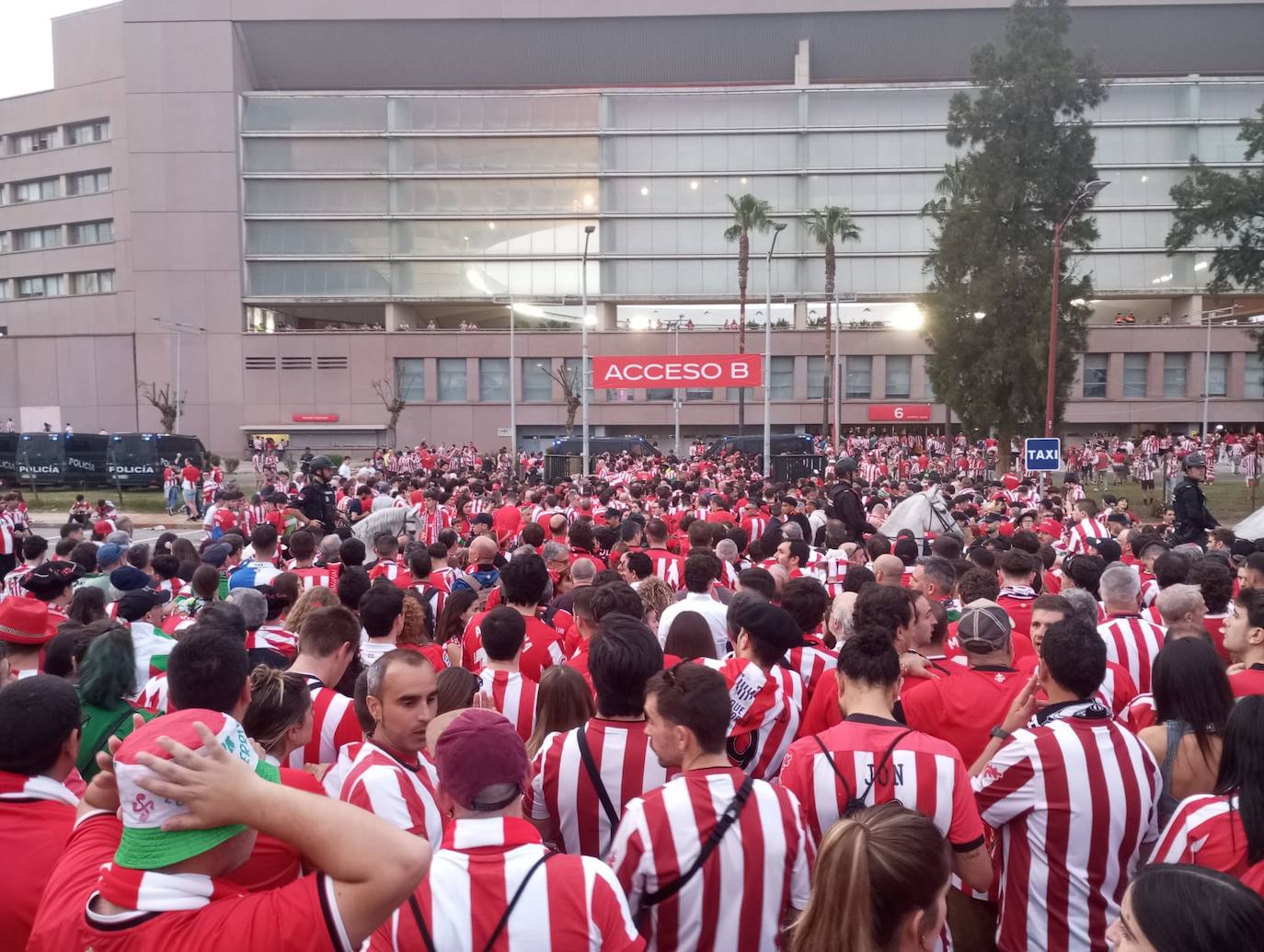 Las fotos de la final: la afición se vuelca con el Athletic en Sevilla