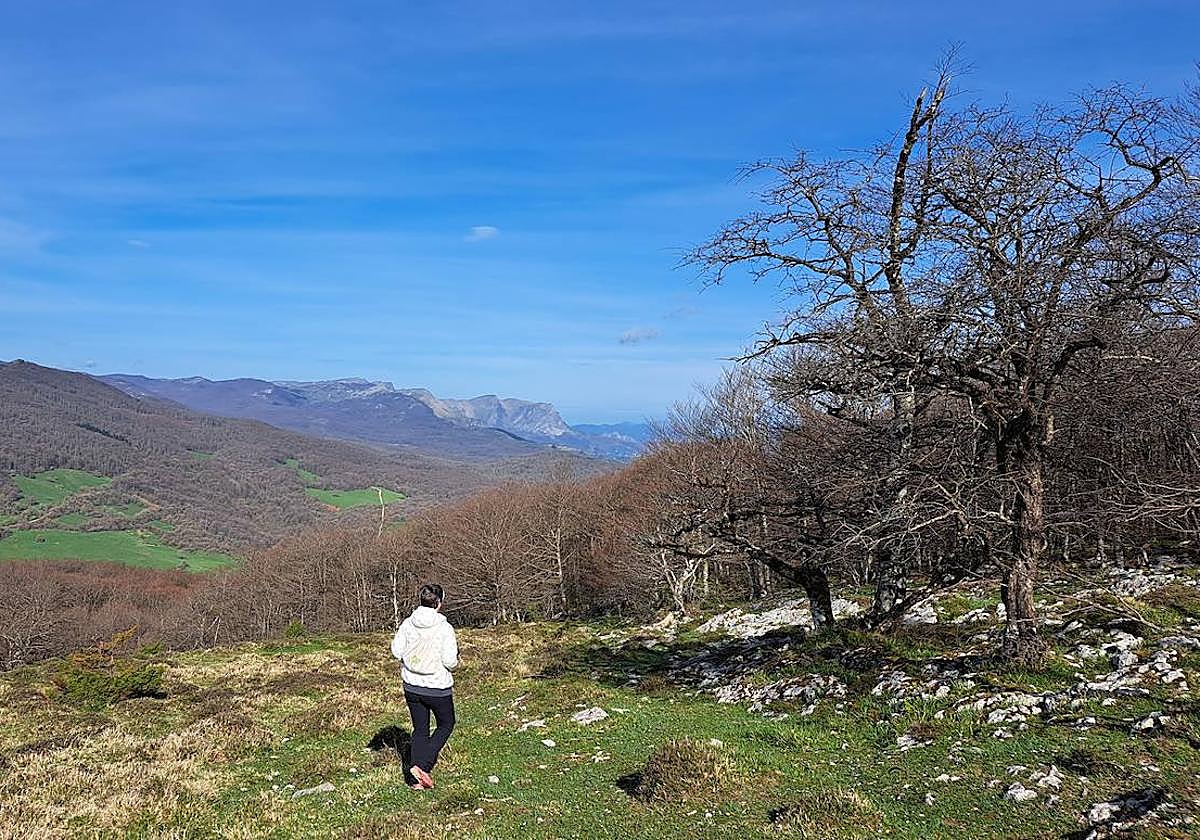 Las campas y los bosques de Aralar se muestran espectaculares en primavera.