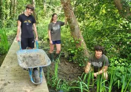 Jóvenes durante las labores de voluntariado en una campaña anterior.