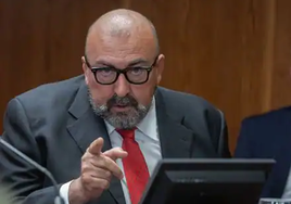 Koldo García, durante su comparecencia en la comisión del Senado.