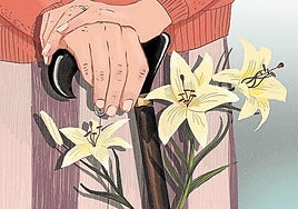 Biden, Trump y la discriminación por edad