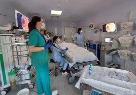 Personal de la unidad de Endoscopia Digestiva del hospital de San Eloy en el transcurso de una colonoscopia a una joven paciente.