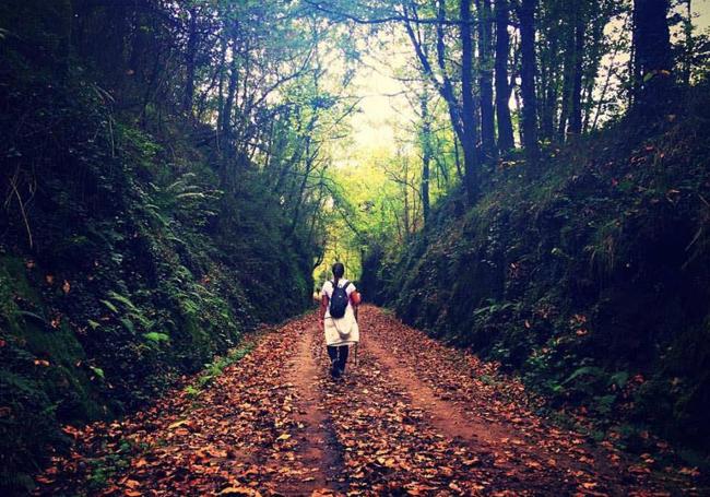 Vía Verde de los Montes de Hierro a su paso por Sopuerta.