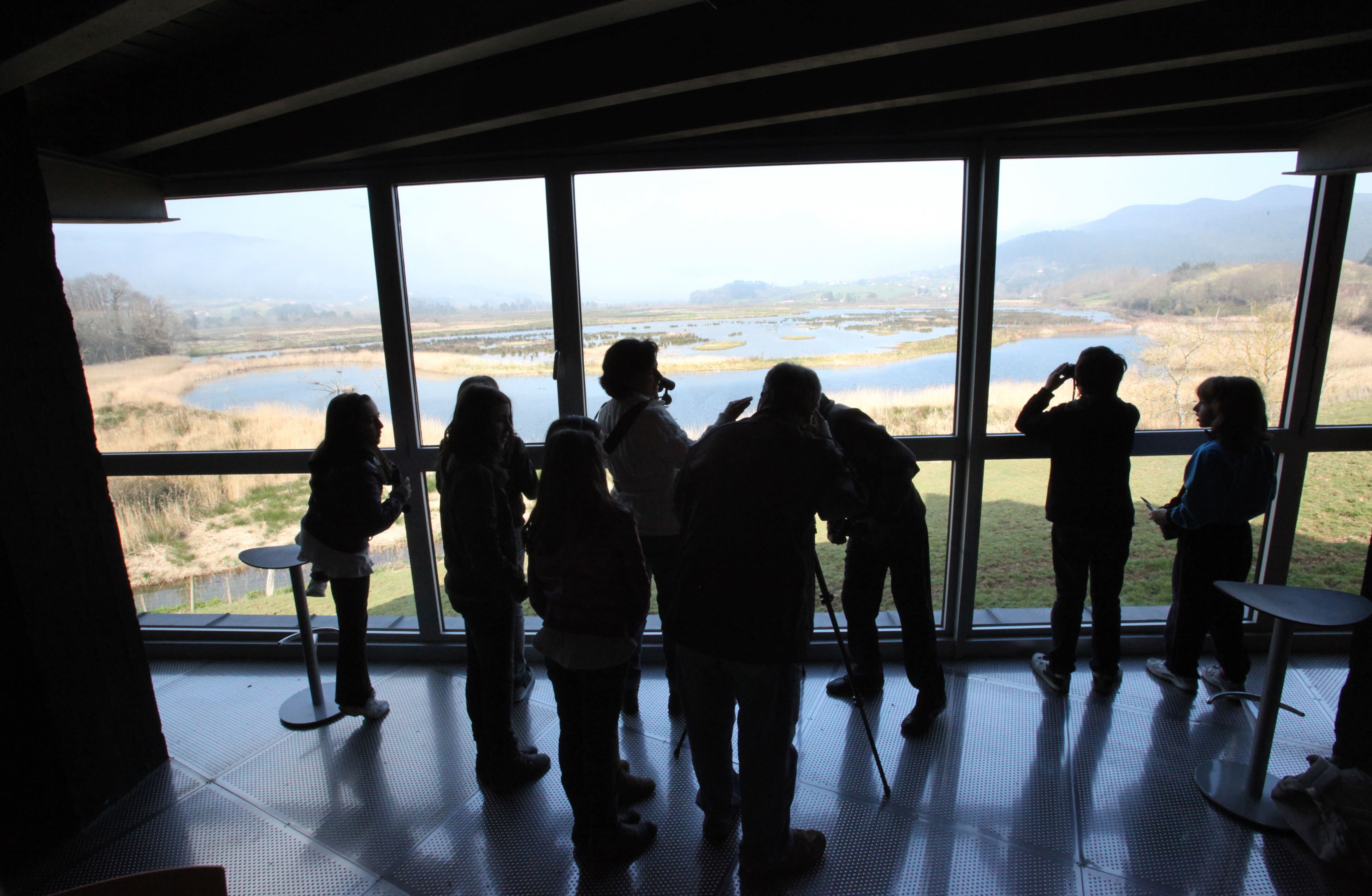 Urdaibai Bird Center celebrará el domingo el Día Mundial de las Aves Migratorias con sesiones de anillamiento.