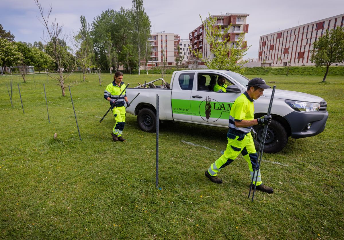 La intervención para la creación del laberinto verde se han iniciado este lunes y se extenderán hasta noviembre.