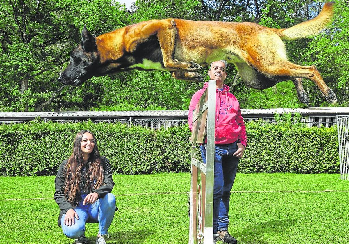 puede un perro de 6 años comenzar el entrenamiento de agilidad