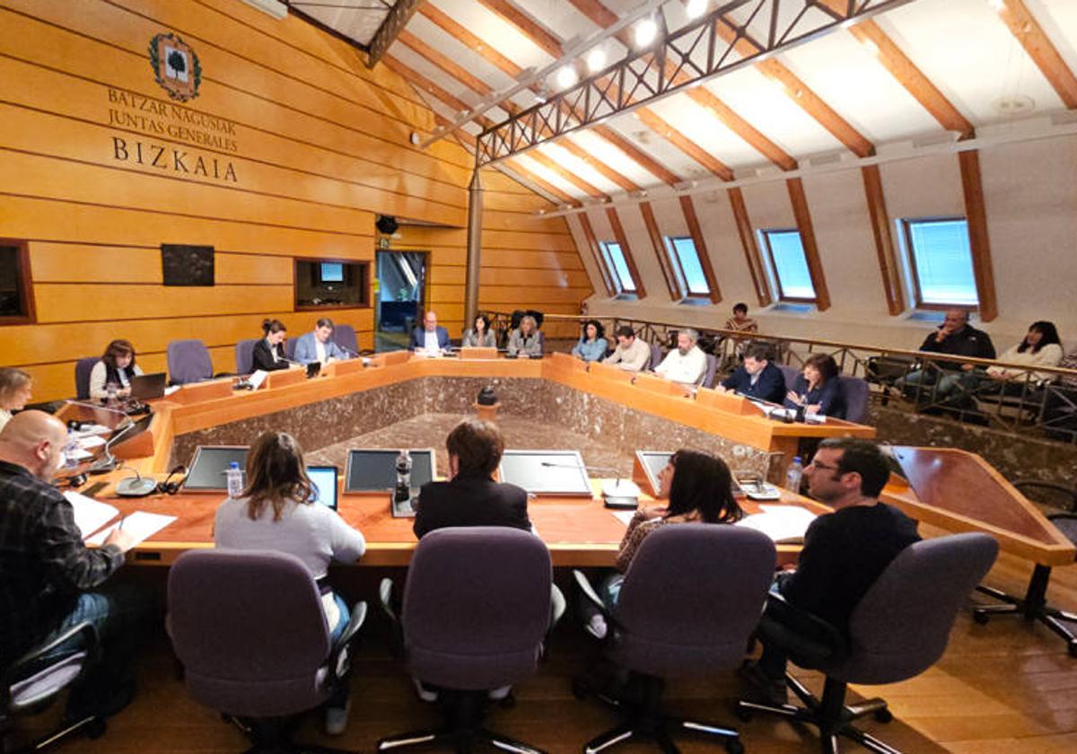 La pasada comisión en las Juntas Generales en la que se debatió por primera vez sobre las inundaciones de Erandio con la presencia de los afectados.