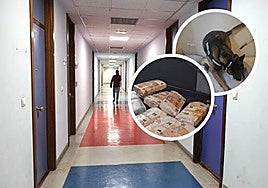 El laboratorio de droga estaba en una oficina de un bloque en Portuetxe 83 en el que había mucho movimiento.