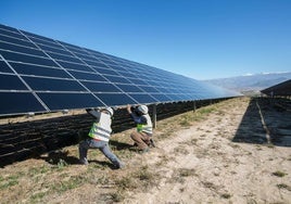 Dos operarios revisan las placas de un parque solar