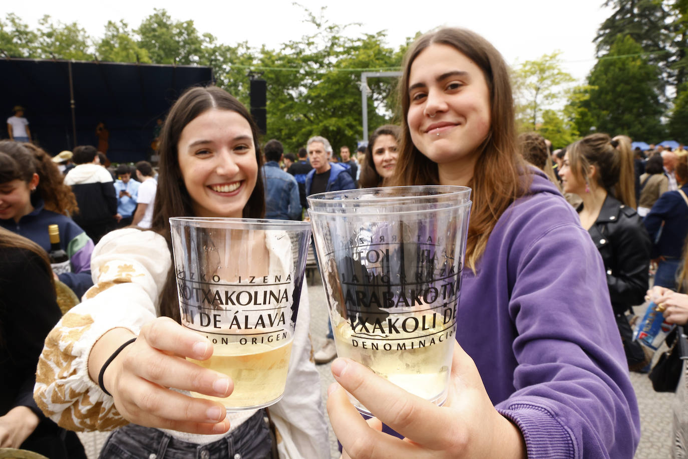 El txakoli alavés avanza hacia la excelencia