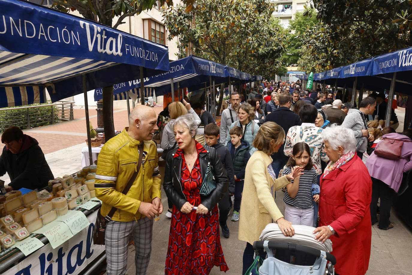 El txakoli alavés avanza hacia la excelencia