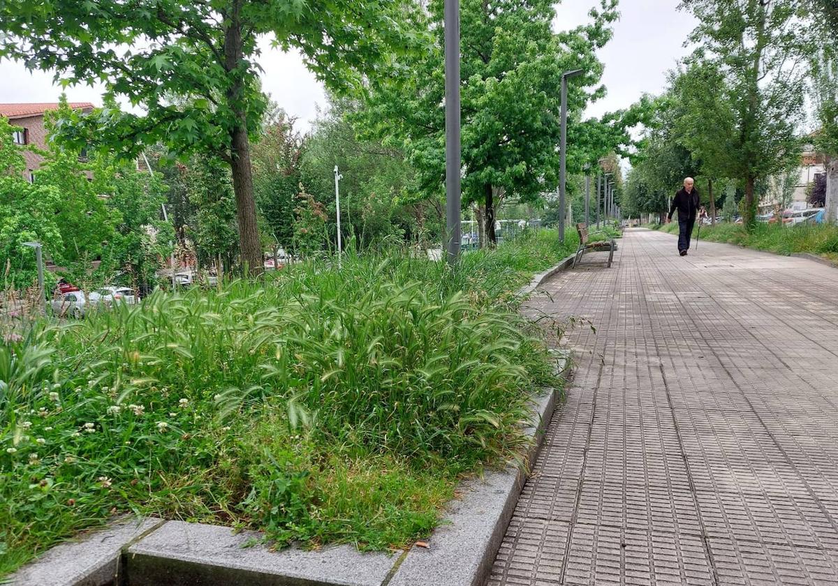 Un parque de Neguri afectado por la huelga de trabajadores de la subcontrata de jardinería del Ayuntamiento de Getxo.