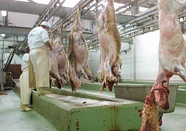 Un matadero legal y ajeno a esta información